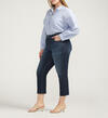 Ruby Mid Rise Straight Cropped Jeans Plus SIze, , hi-res image number 2