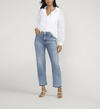 Rachel High Rise Relaxed Tapered Leg Jeans, Blue Jasmine, hi-res image number 0